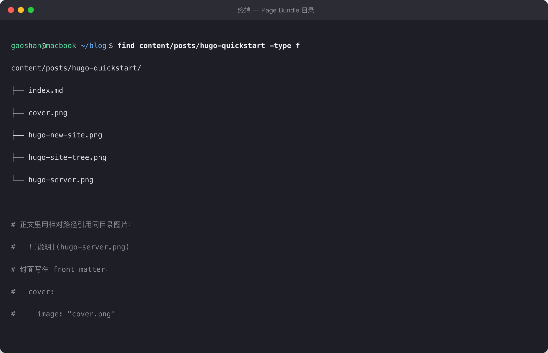 Page Bundle 的目录结构